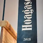 Hoagascht Apartment Flachau